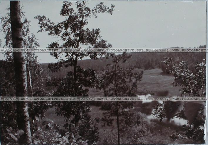 усадьба Городня