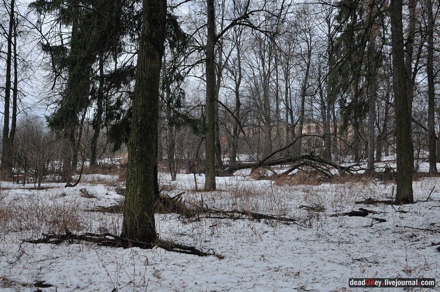 усадьба Иславское