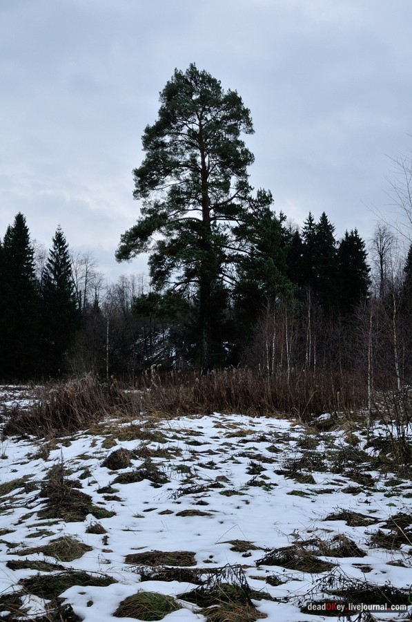 усадьба Ахтырка