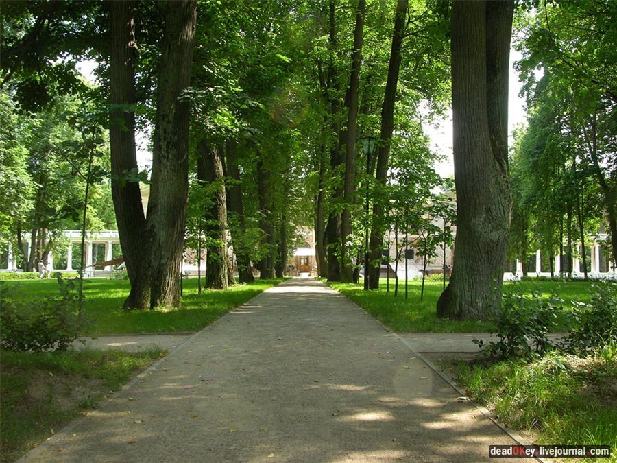 усадьба Остафьево