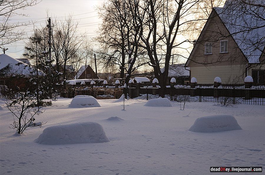 усадьба Осеченки