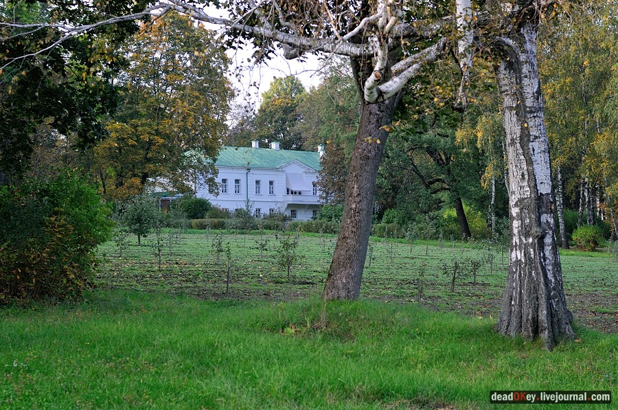 усадьба Ясная Поляна