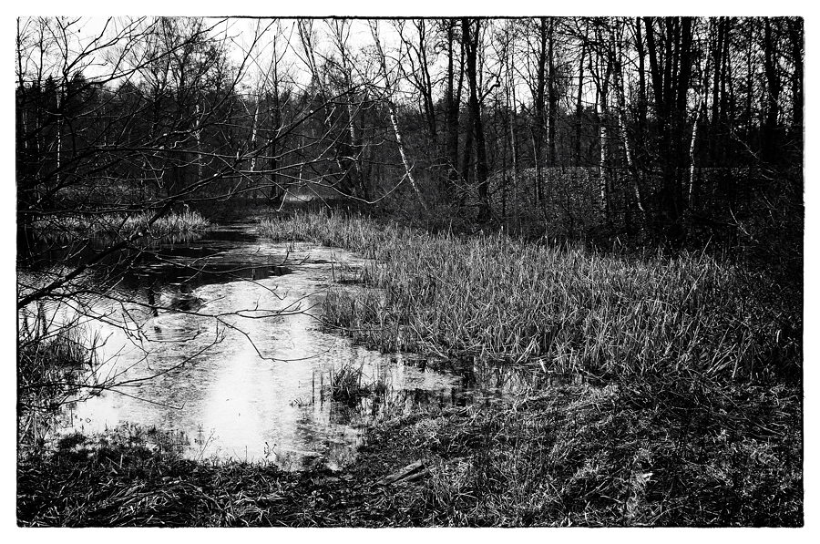 усадьба Стояново