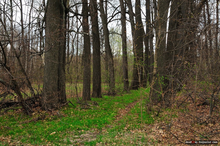 усадьба Антипино