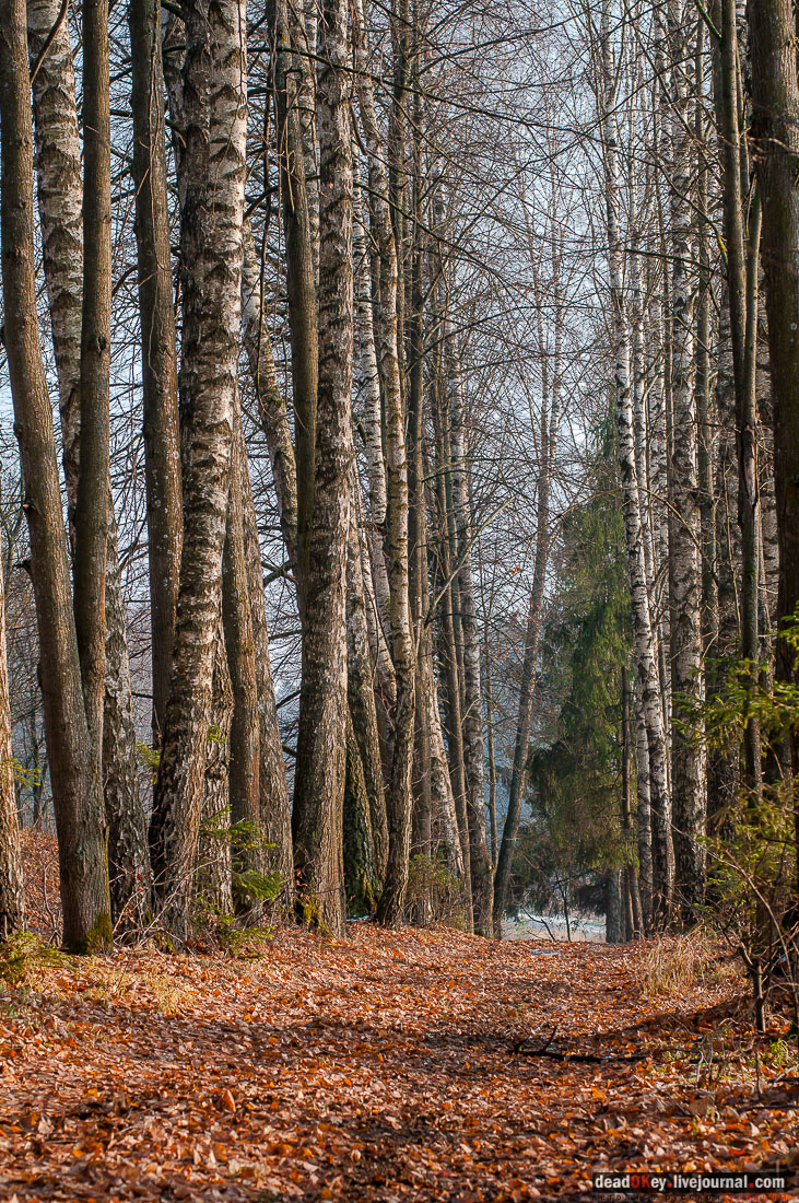 Усадьба Филатово