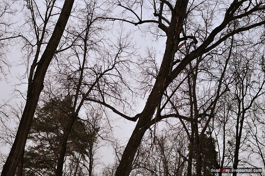 усадьба Успенское