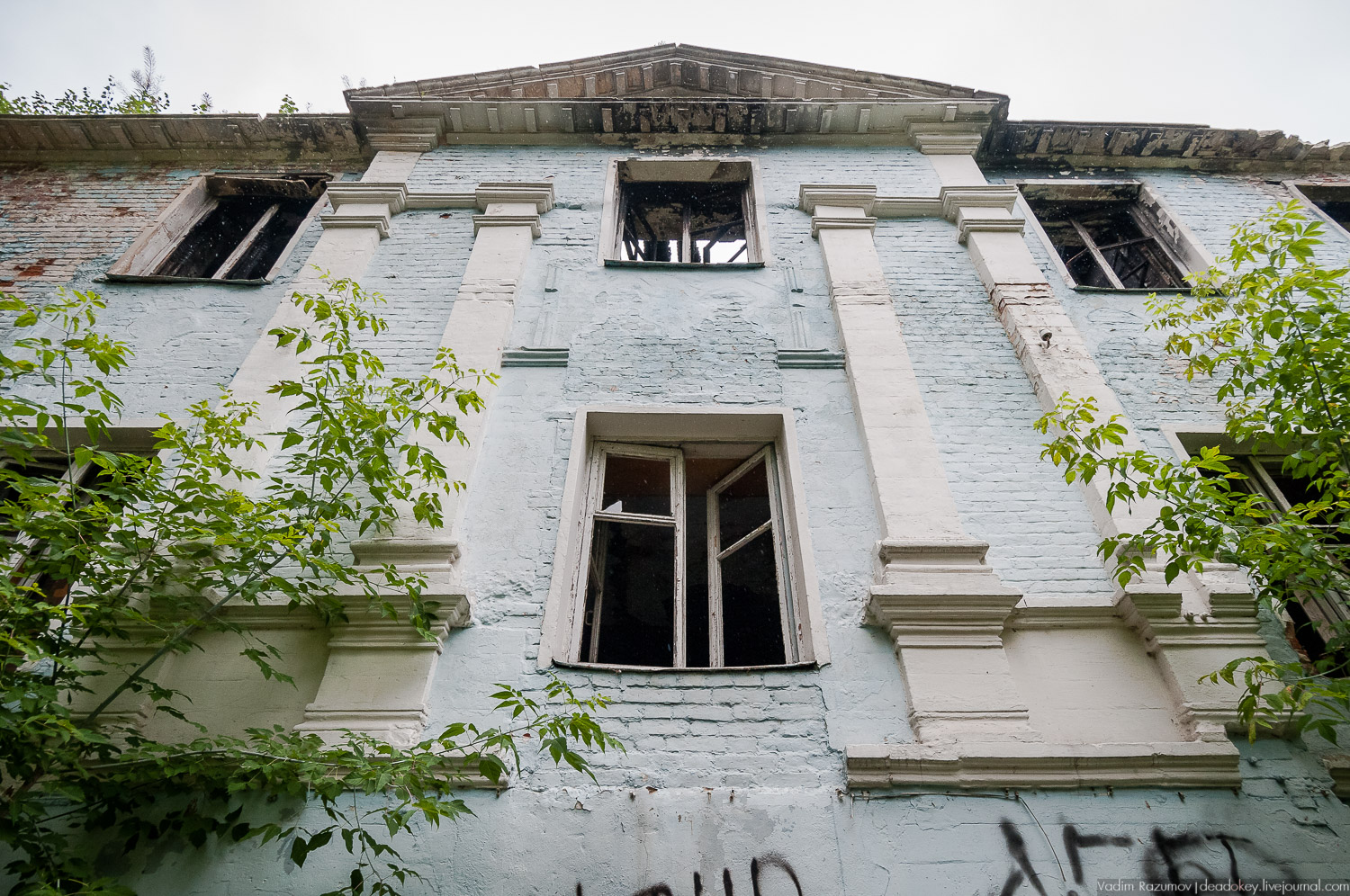 усадьба Лапино-Спасское, г. Королев, Усадебные волонтеры