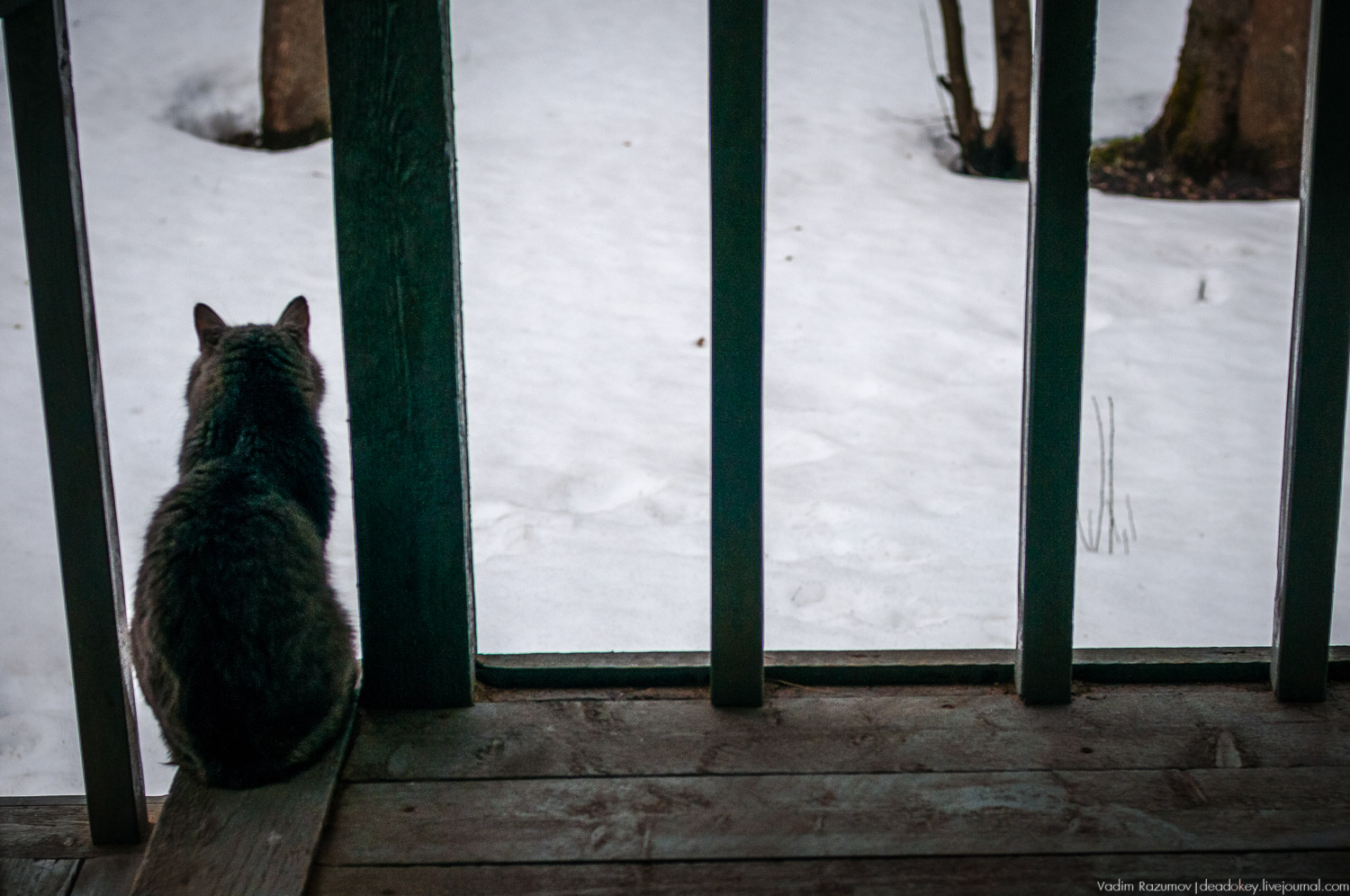 Домотканово