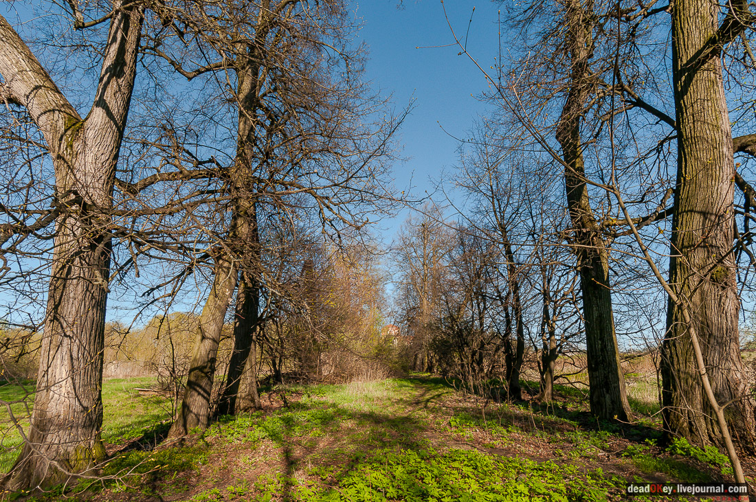 усадьба Зендиково