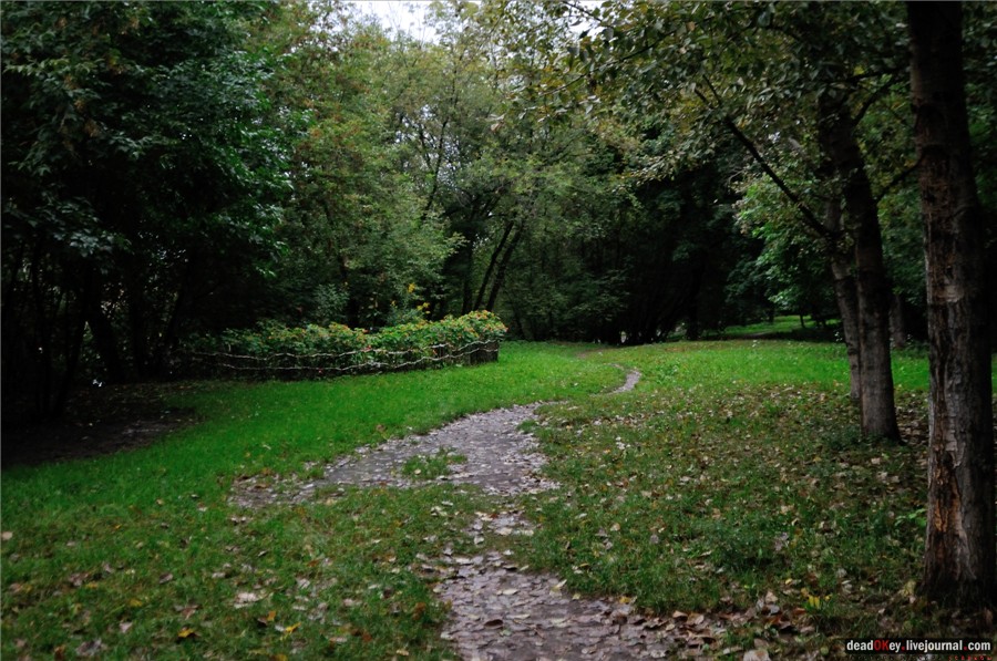 усадьба Строганова Дача