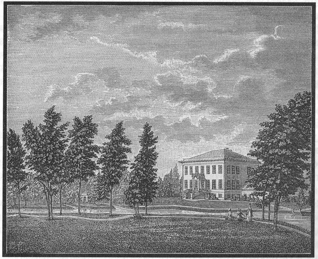 Петергофская дорога