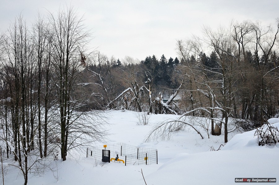 усадьба Котляково