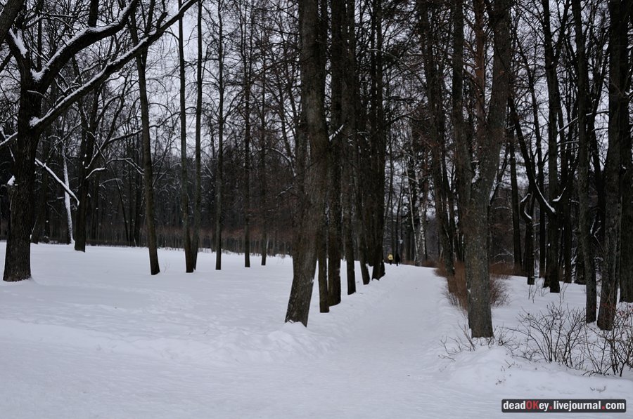 усадьба Остафьево