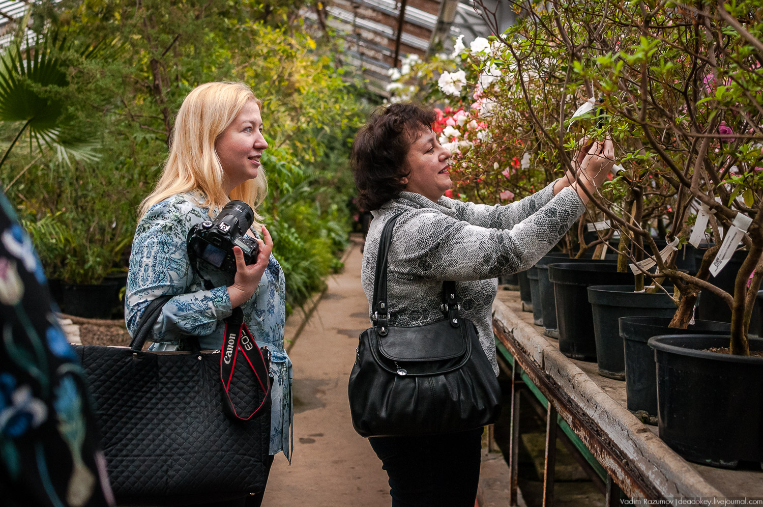 Ботанический сад, фондовая оранжерея, Экоэлектричка, борщевик