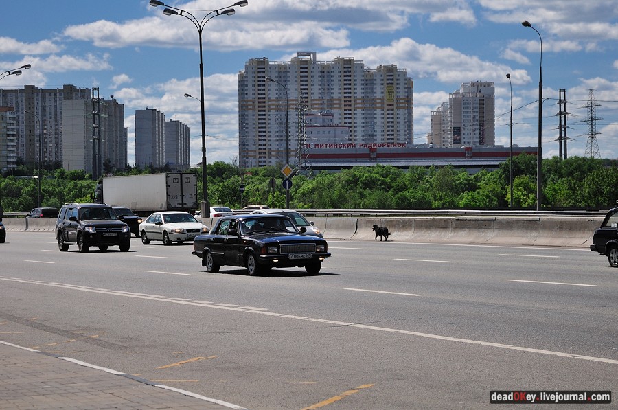 усадьба Братцево