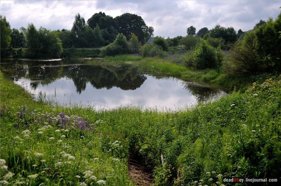 усадьба Кудрявцево