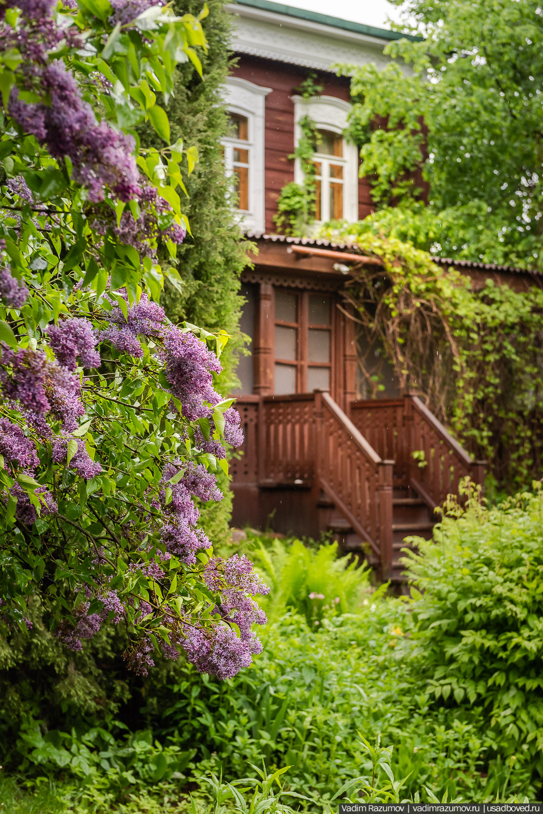 Усадьба фабриканта Думнова в Заречье, Владимирская область. Цветение сирени, сады
