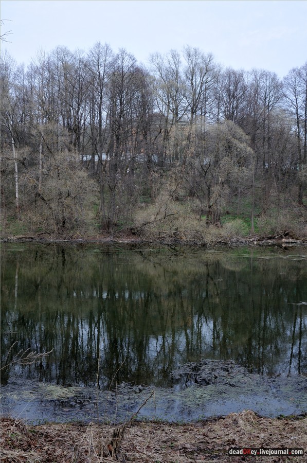 усадьба Городня