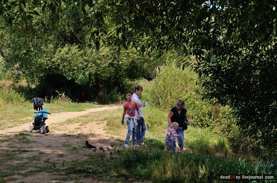 усадьба Троицкое (Мосрентген)