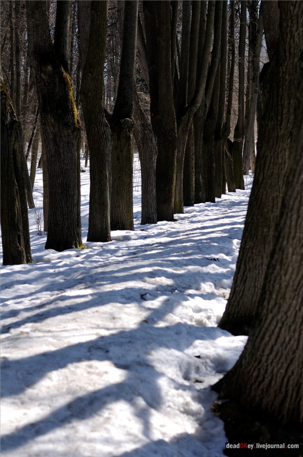 усадьба Узкое