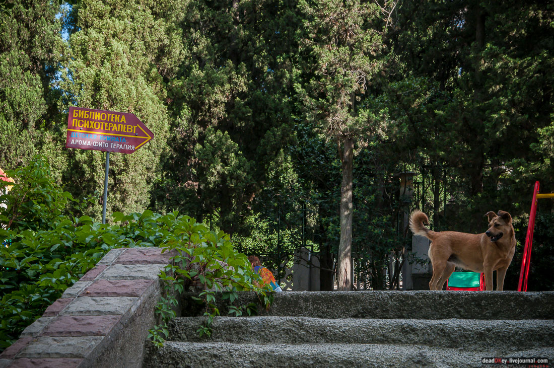 усадьба Мещерское