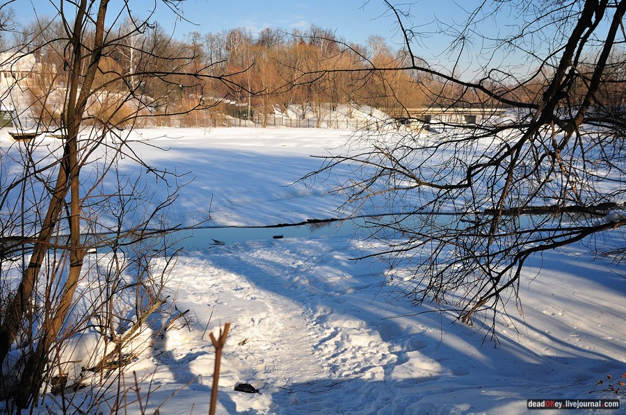 усадьба Петровское-Лобаново