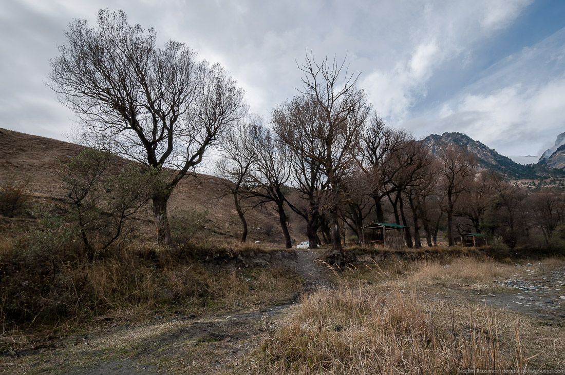 Башенный комплекс Таргим, Ингушетия, Джейрахский район.