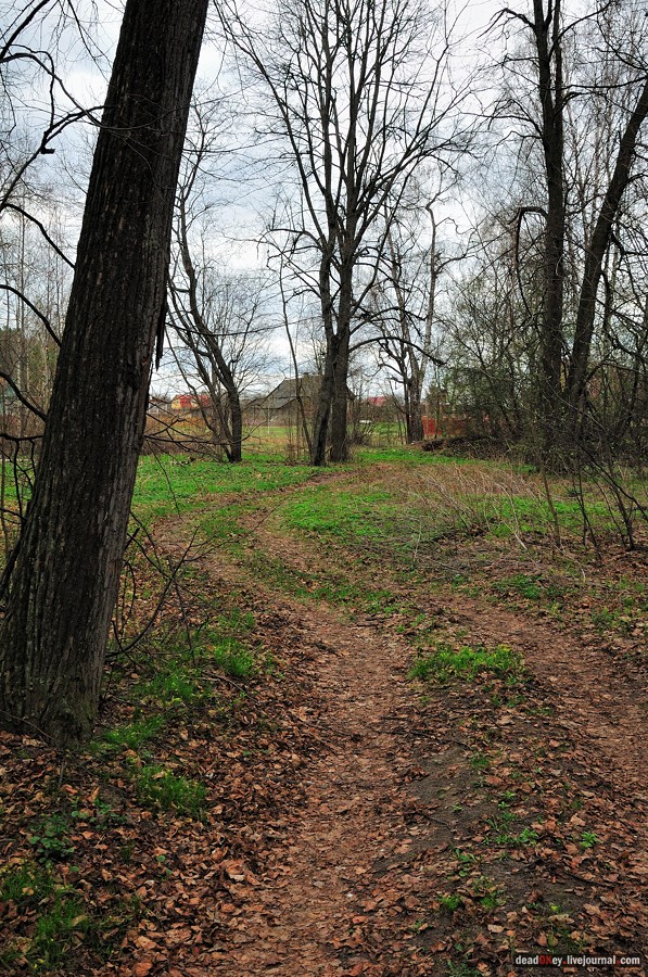 усадьба Антипино