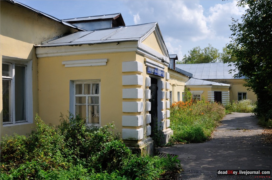усадьба Глинки Якова Брюса (пансионат Монино)