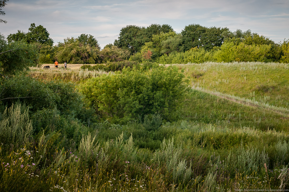 усадьба Озерки
