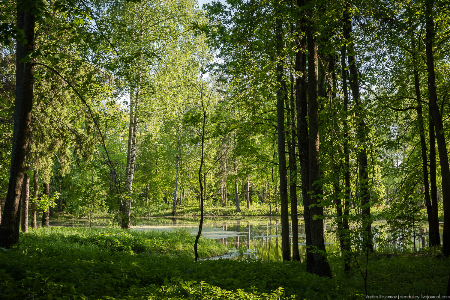 усадьба Воронино