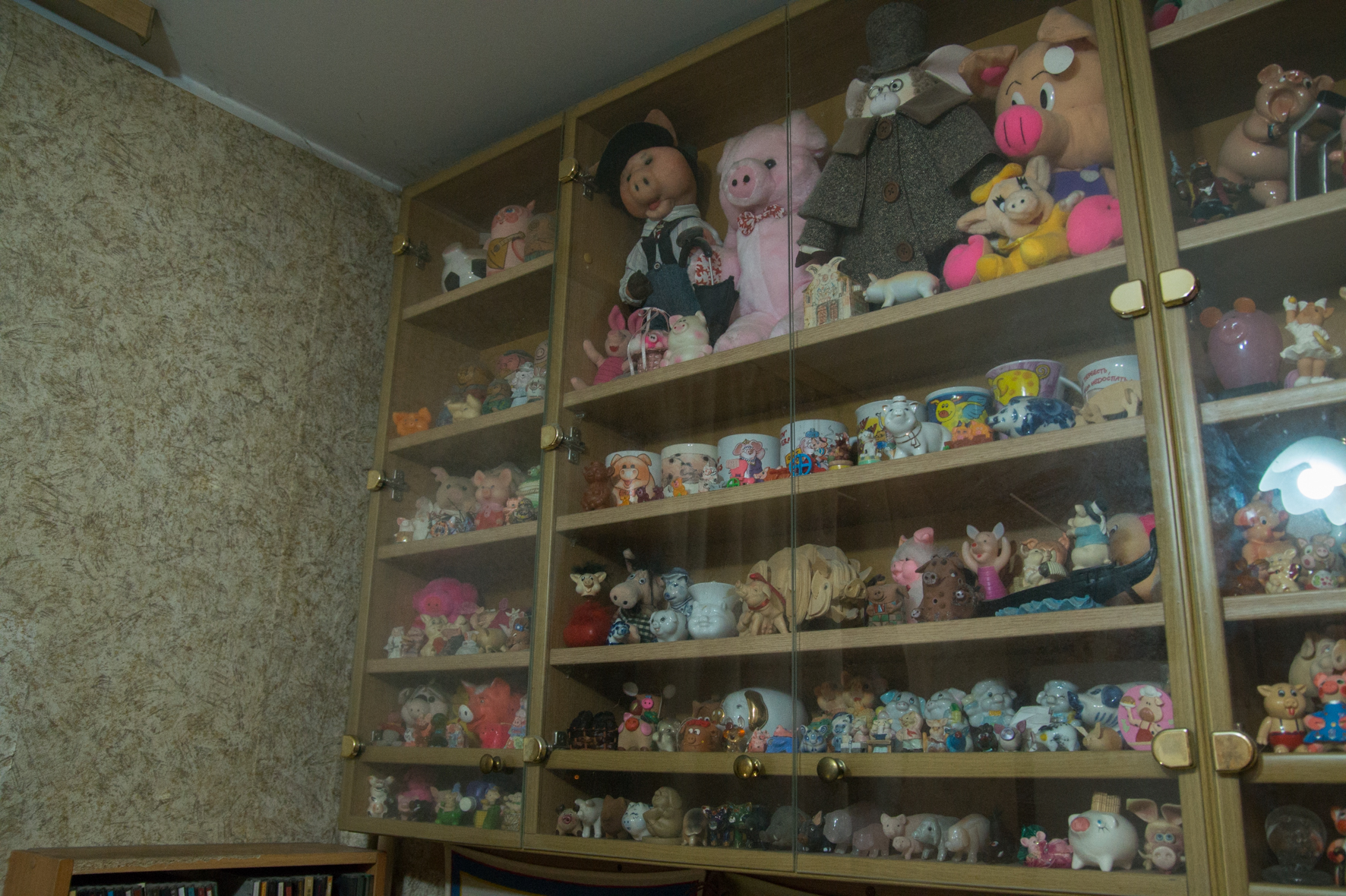 Свиньи, музей свиней