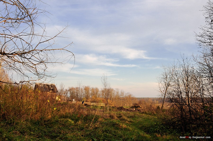 усадьба Бережки