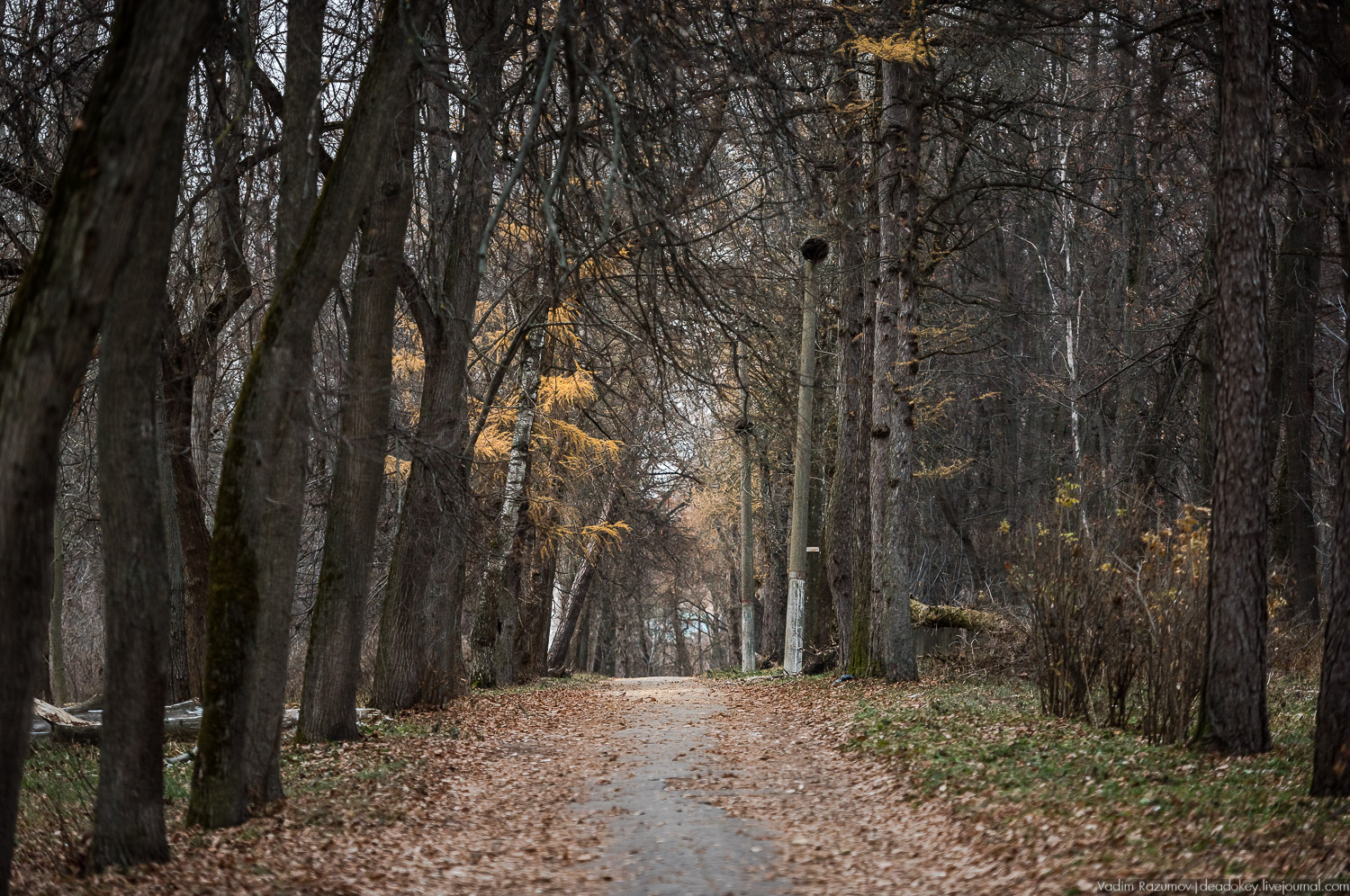 усадьба Бобрики Бобринских, Донской, Тульская область, музей