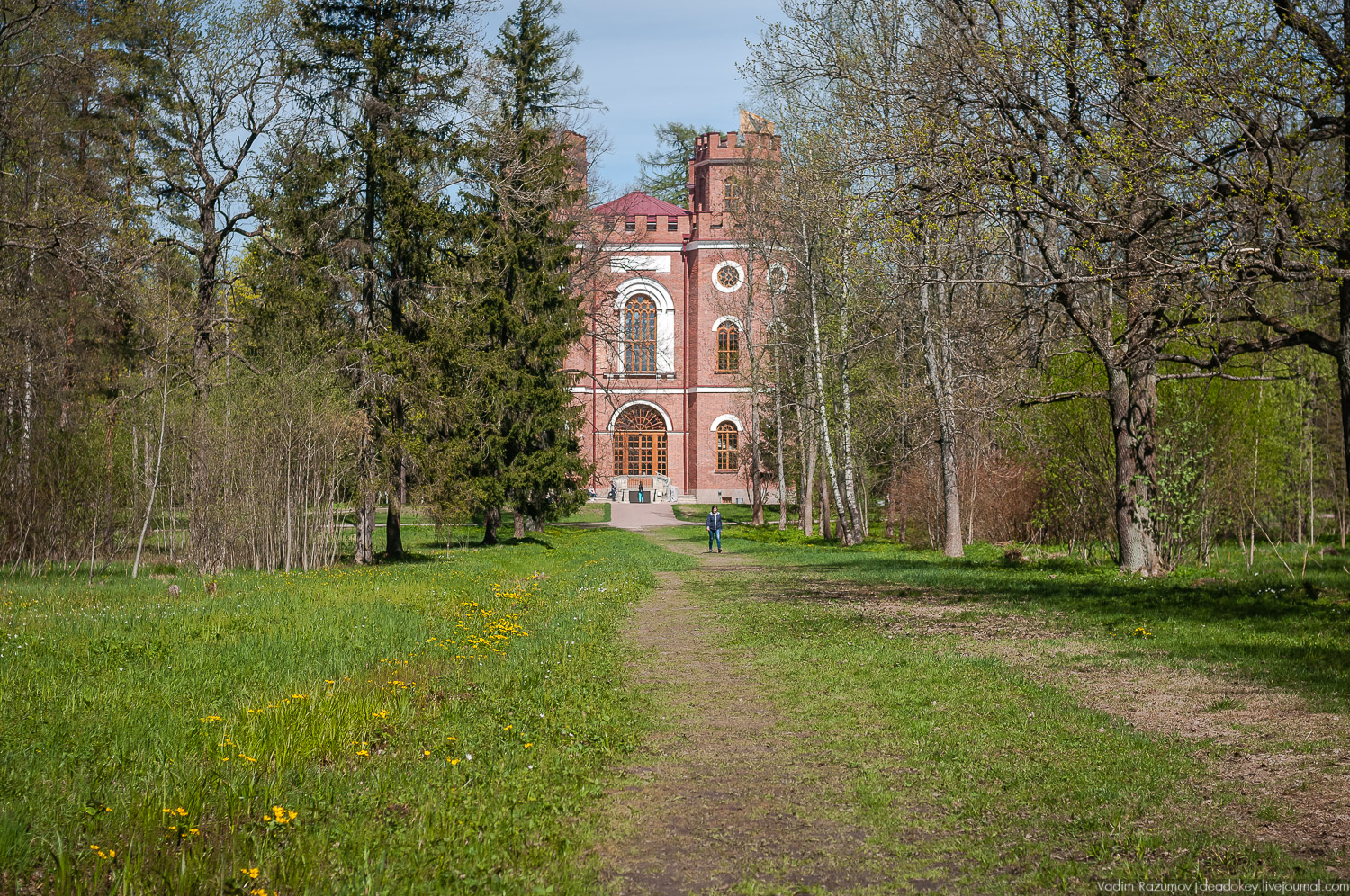 Цветы в усадьбах, поздравление с 8 марта