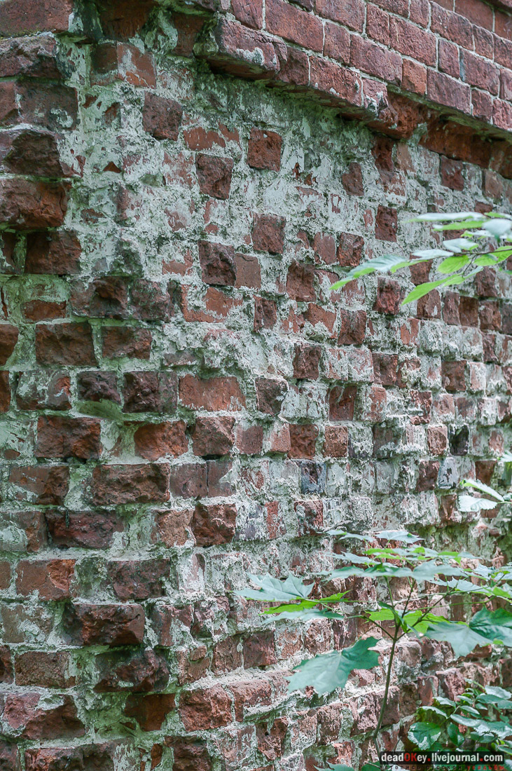 усадьба Дивово