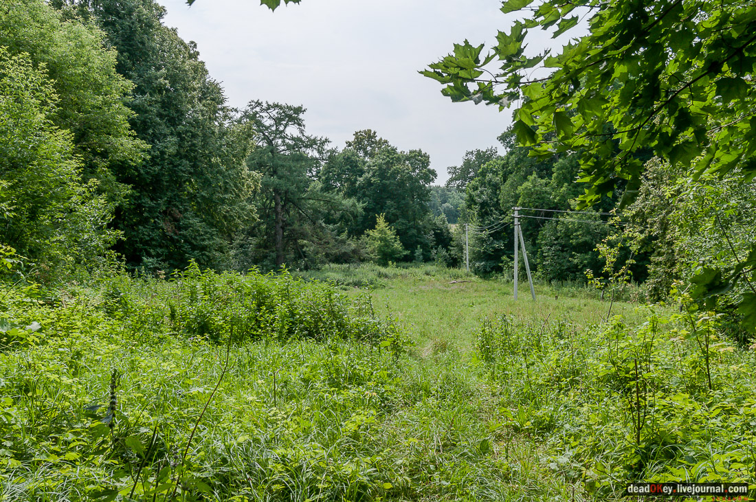 усадьба Дивово