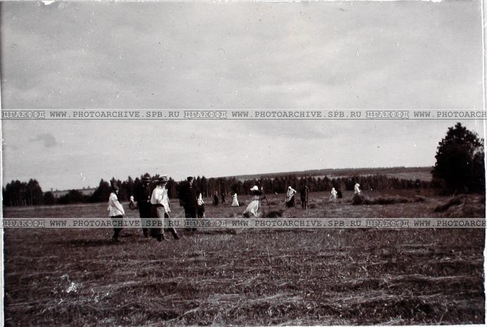 усадьба Городня