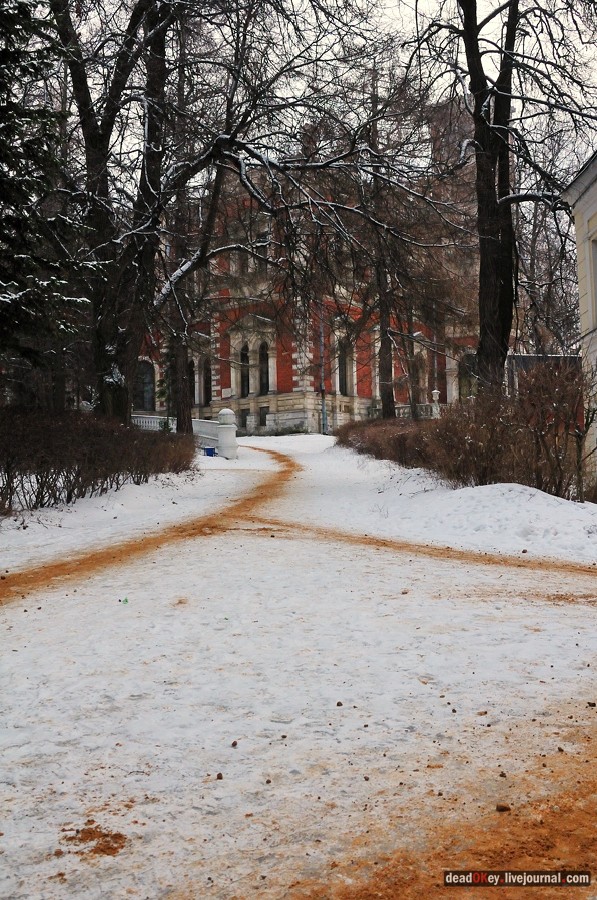 усадьба Быково