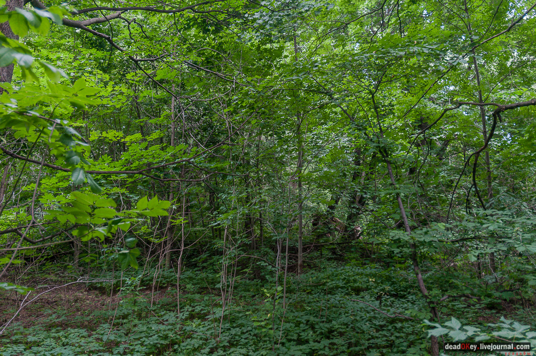 усадьба Дивово