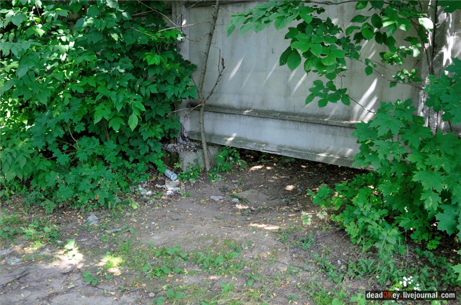 усадьба Образцово