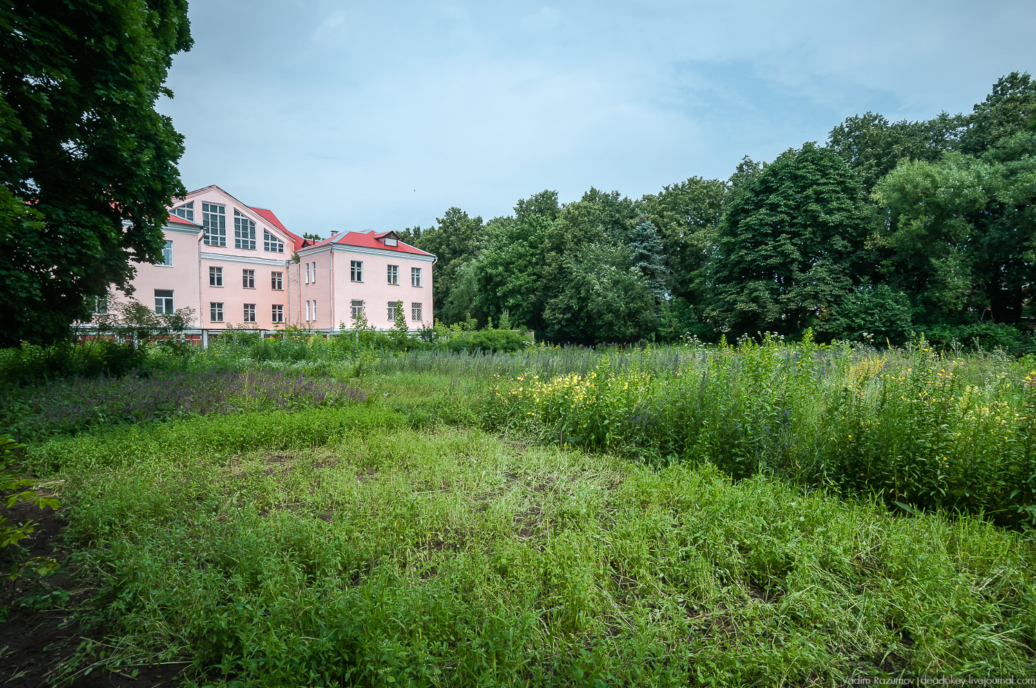 НИИ Пчеловодства, Рязанская область, Рыбное