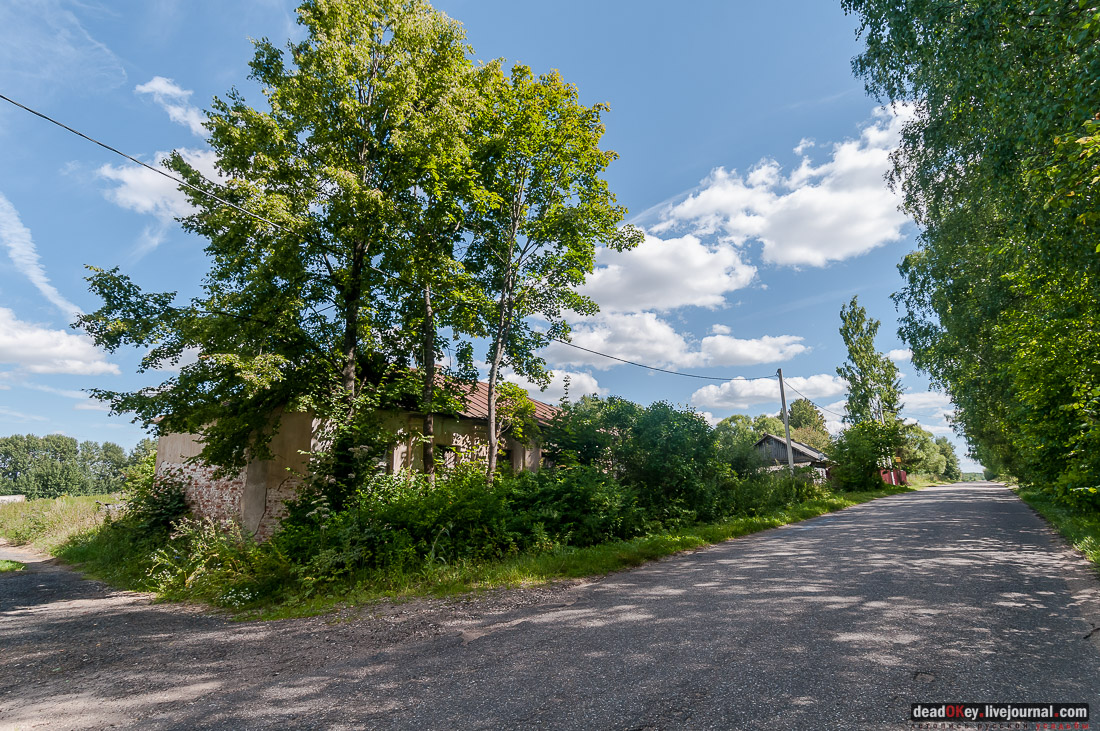усадьба Васильевское Повалишиных