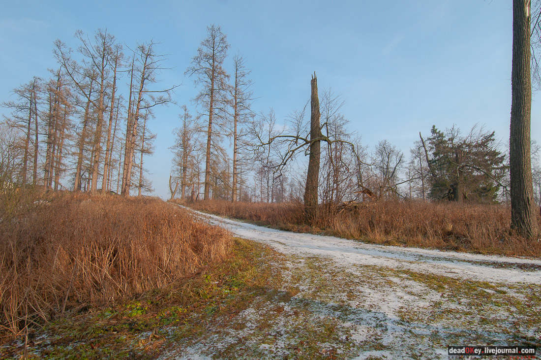 Усадьба Глебово-Брусилово