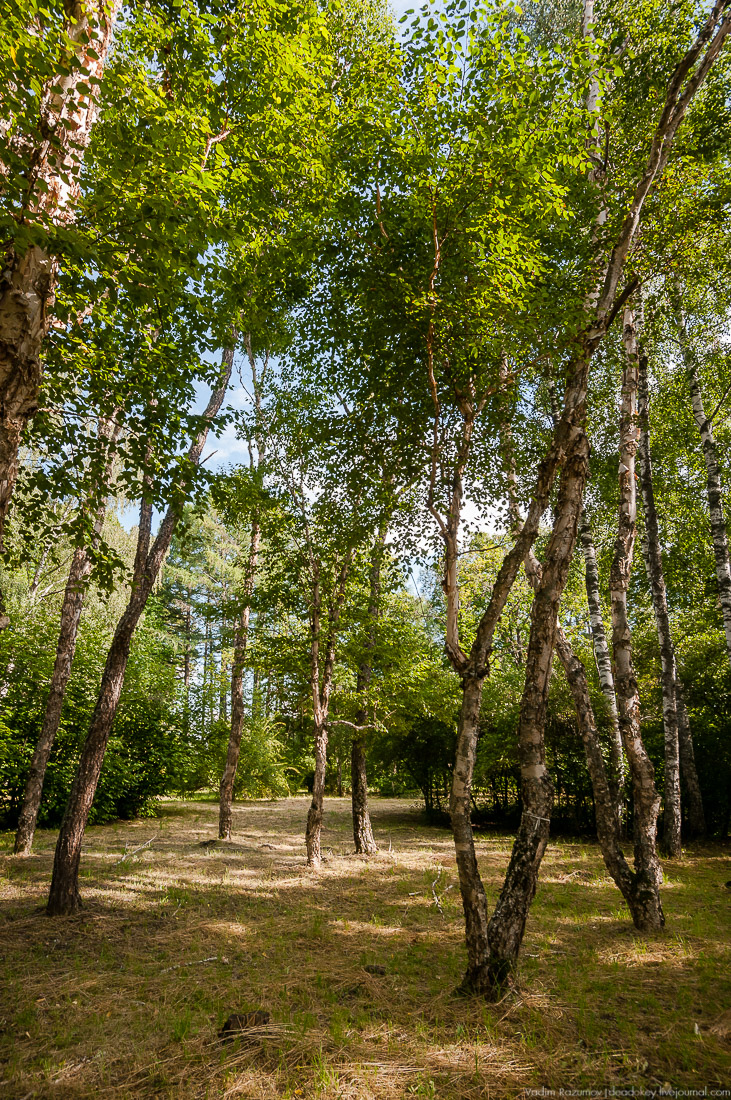 усадьба Барсуково