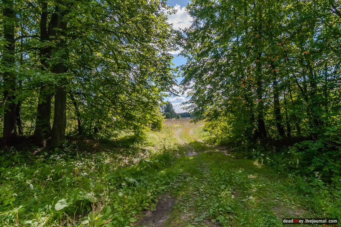 усадьба Васильевское Повалишиных