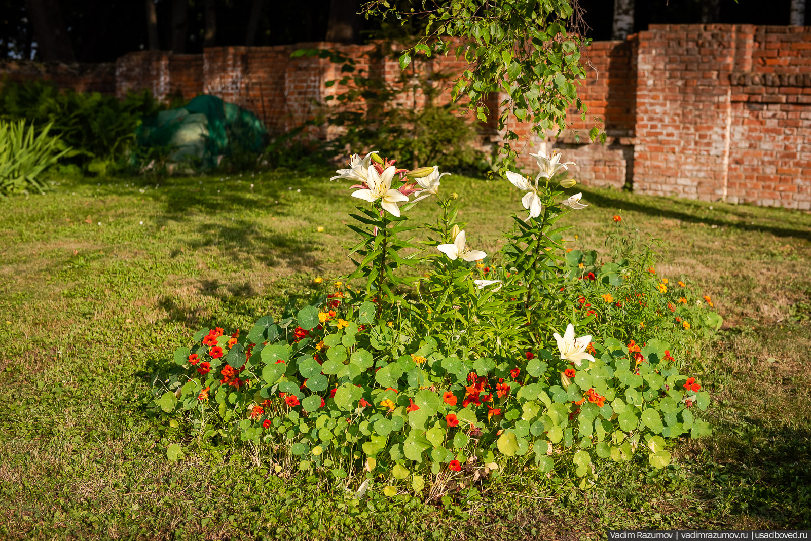 Богородицк, сад во дворце