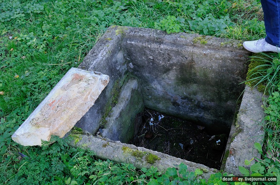 усадьба Дубровка (Мансурово)