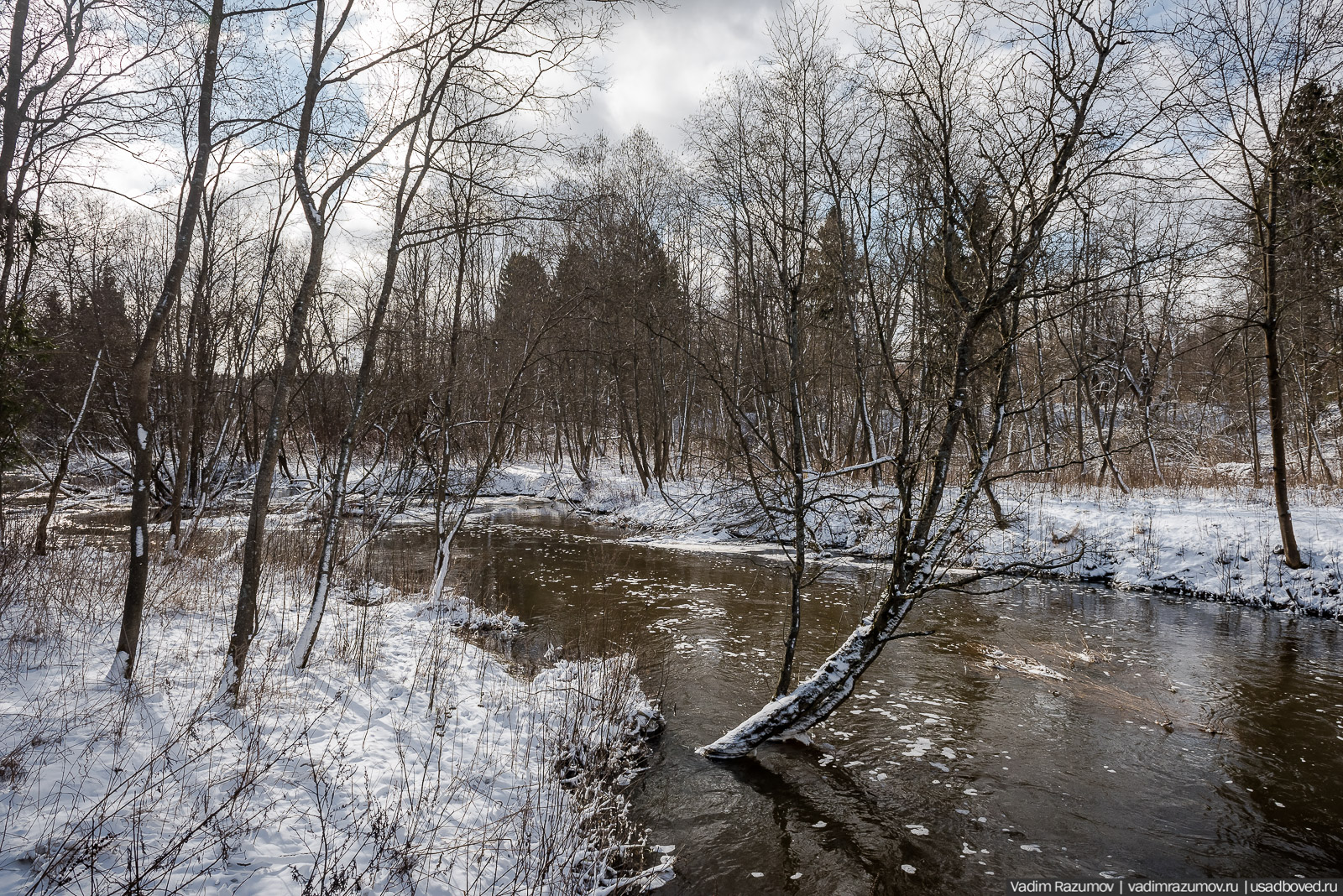 усадьба Абрамцево, 2020 год, зима, последний снег