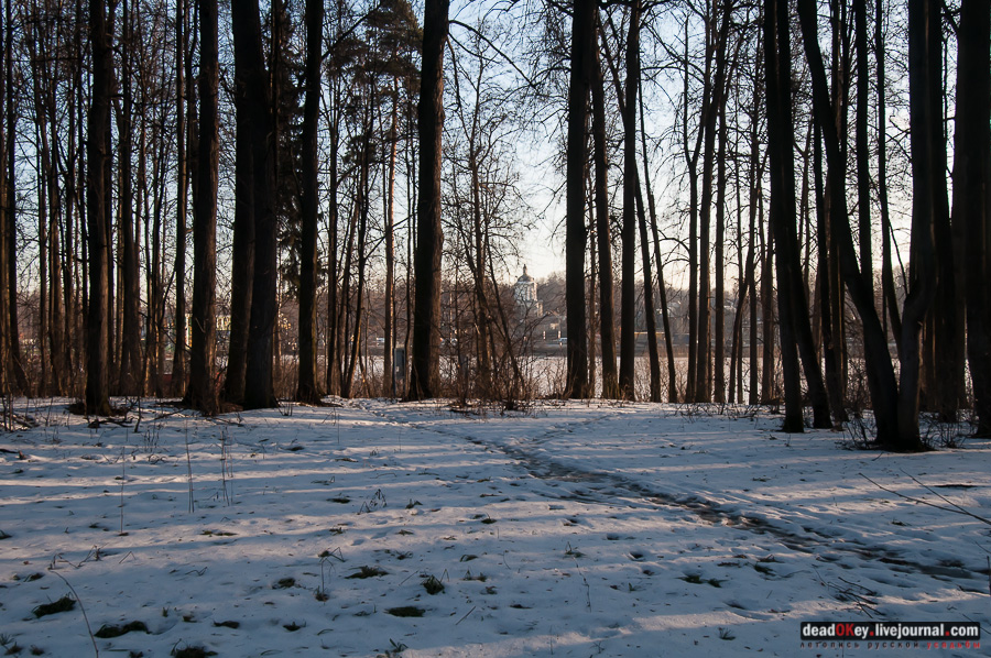усадьба Виноградово